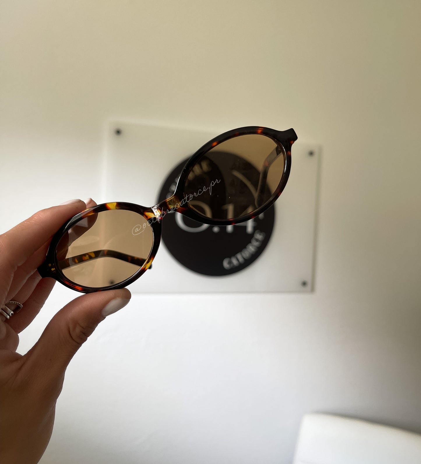 Kathy Sunglasses