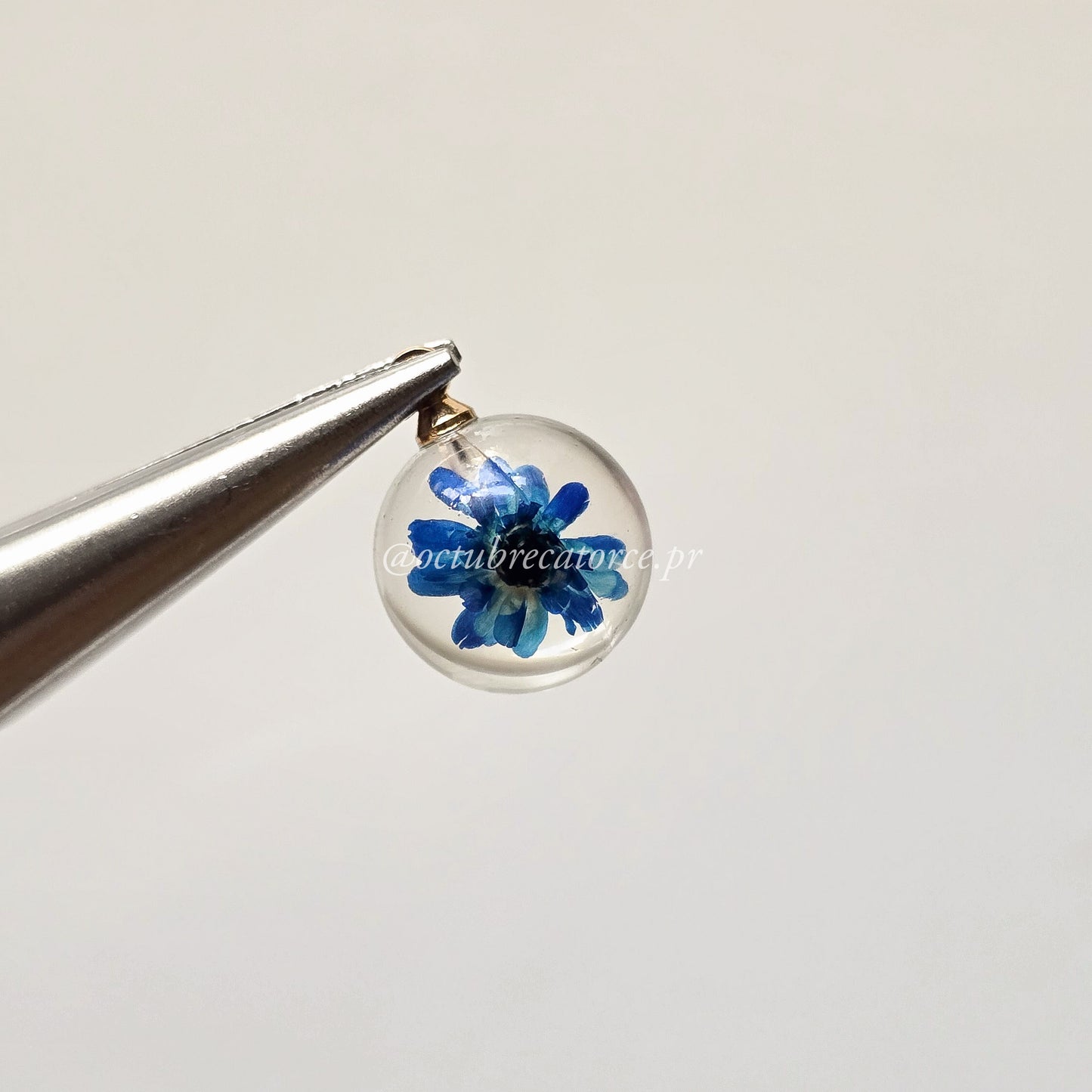 Dalia Charm