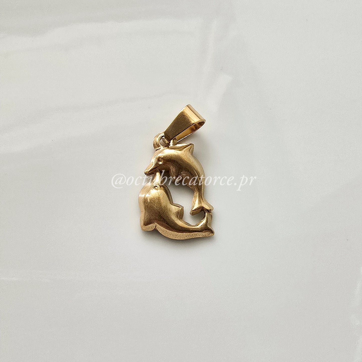 Delfines Charm