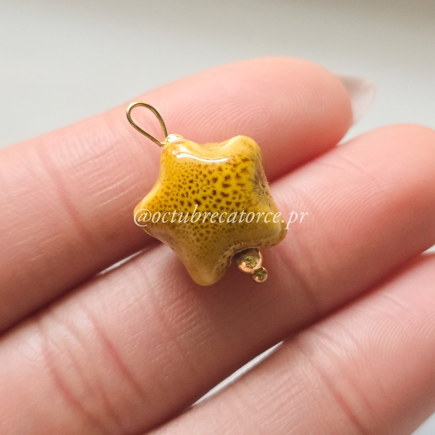 Fugaz Charm
