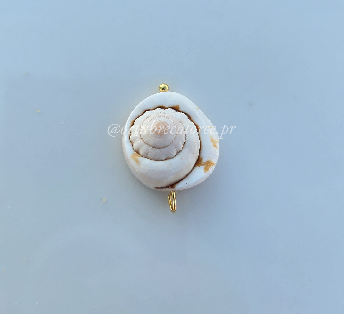 Shells Charm