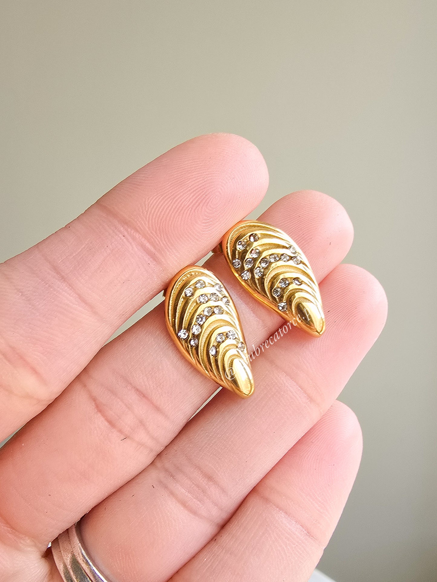 Wings Earrings