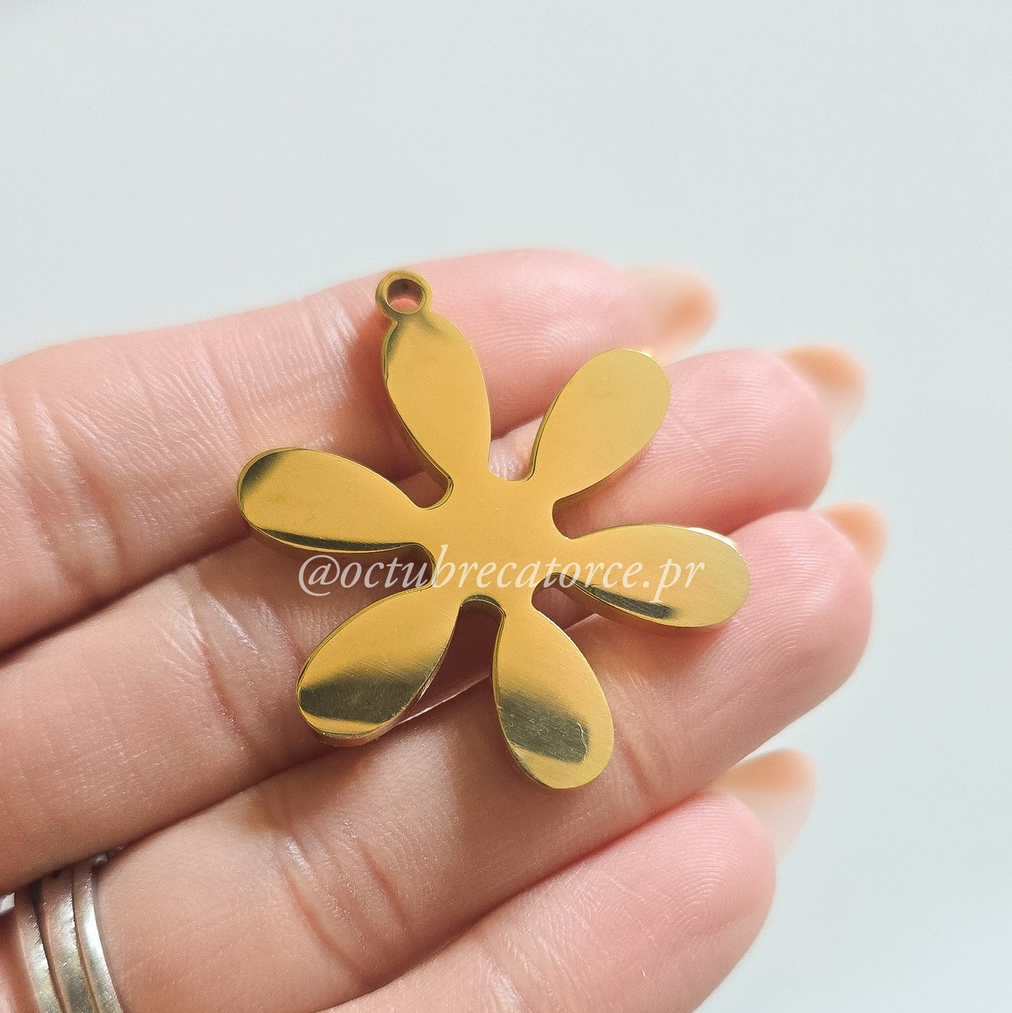 Flor de Sol charm