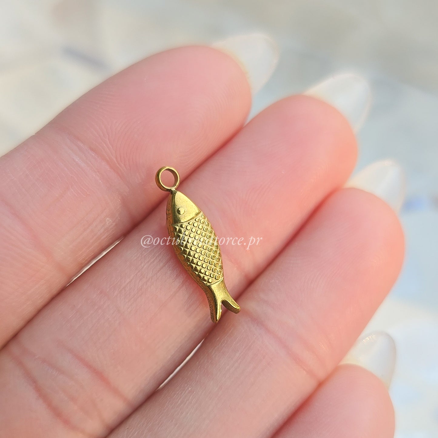 Sardina Charm
