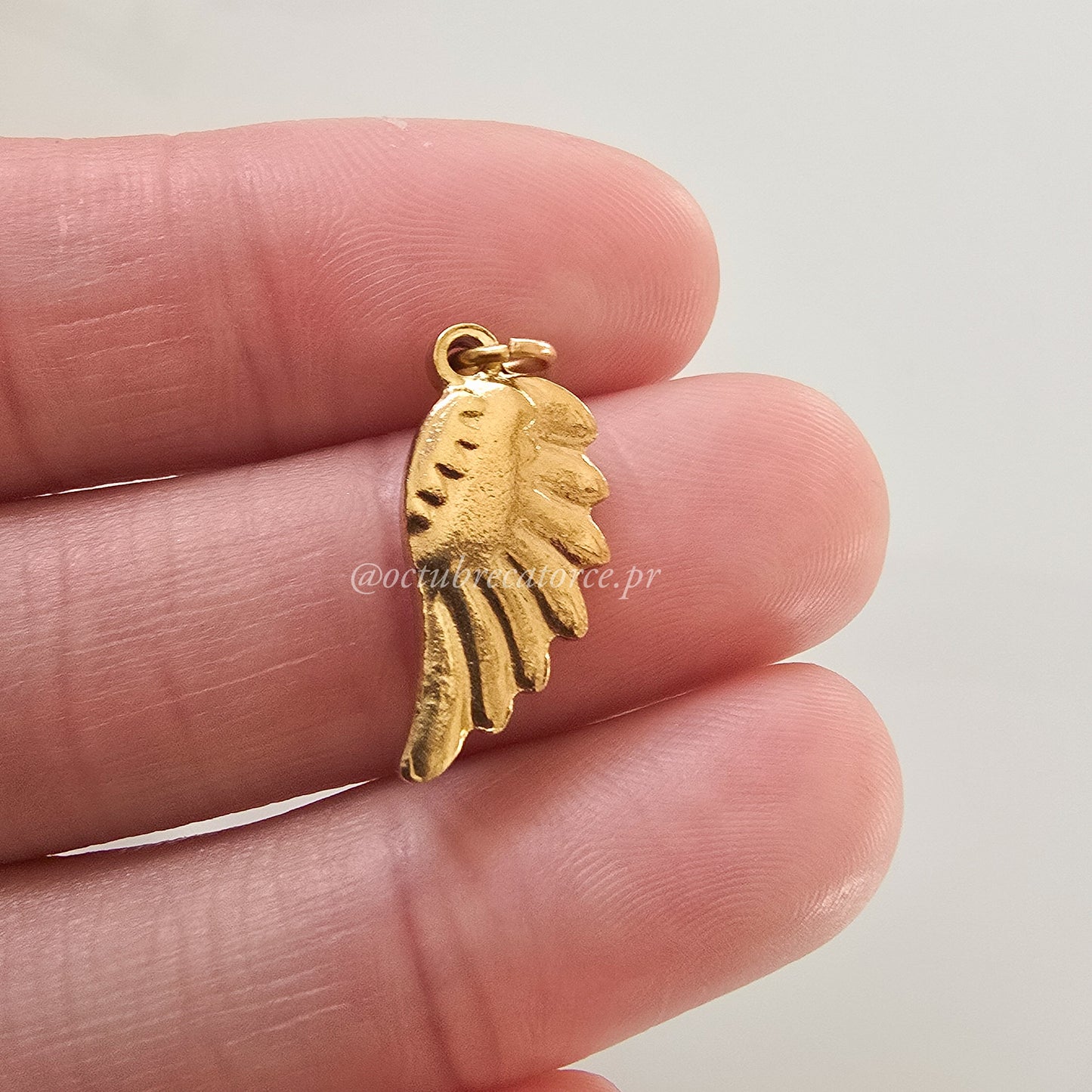 Wings Charm