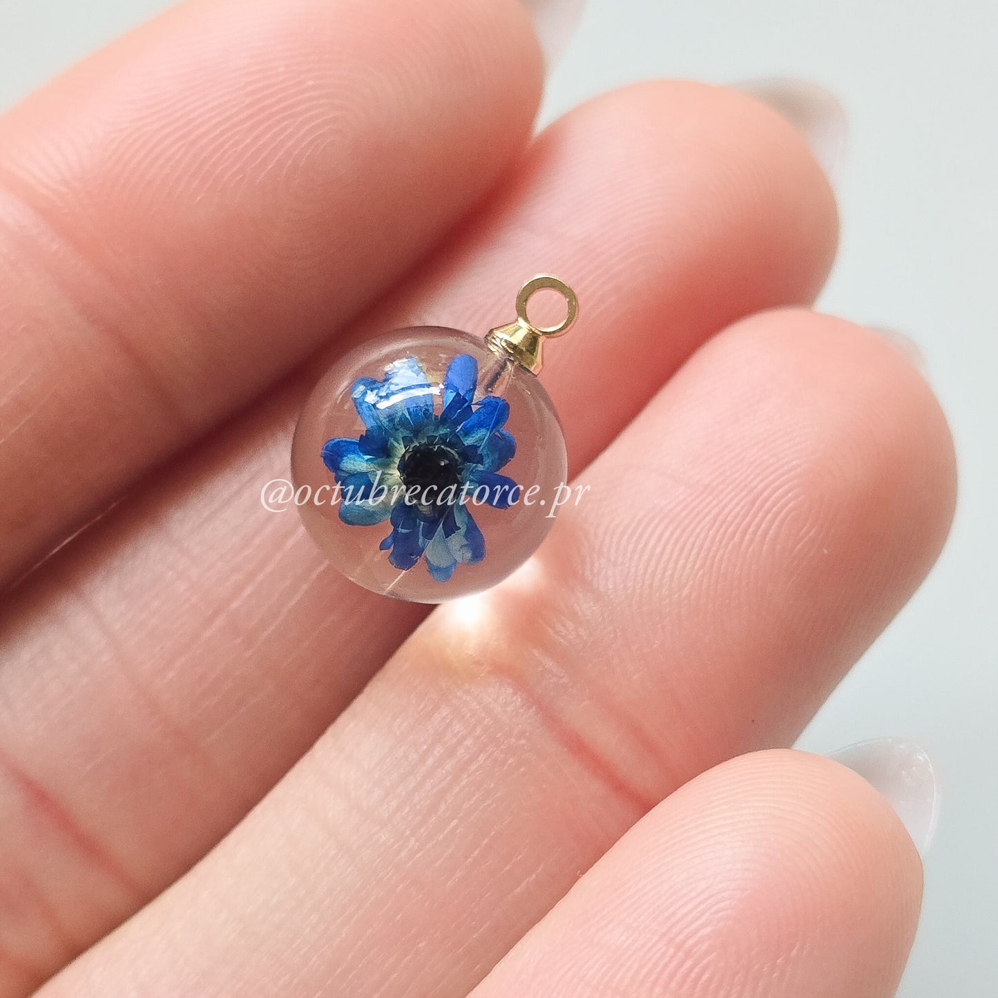 Dalia Charm