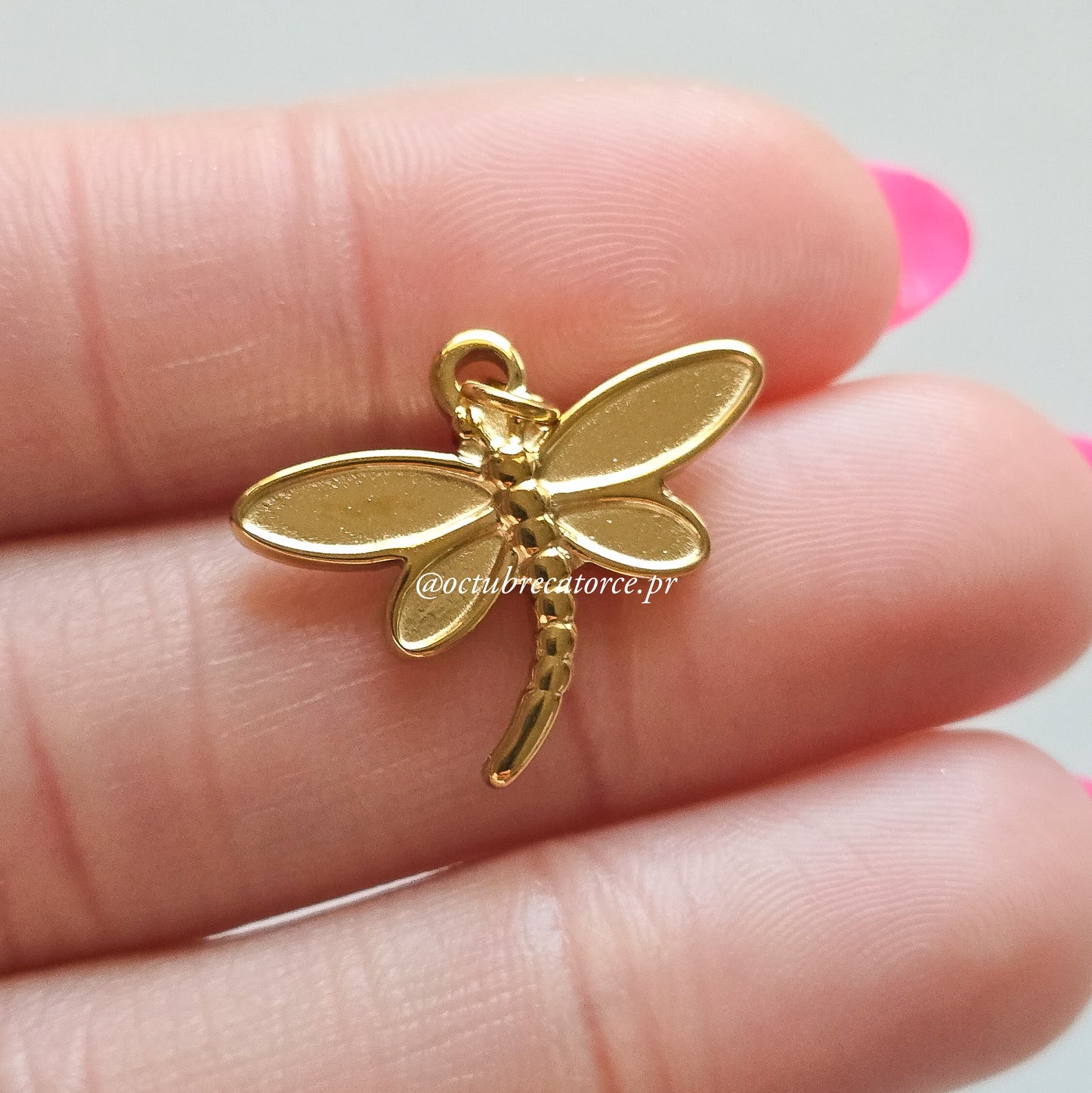 Dragonfly Charm