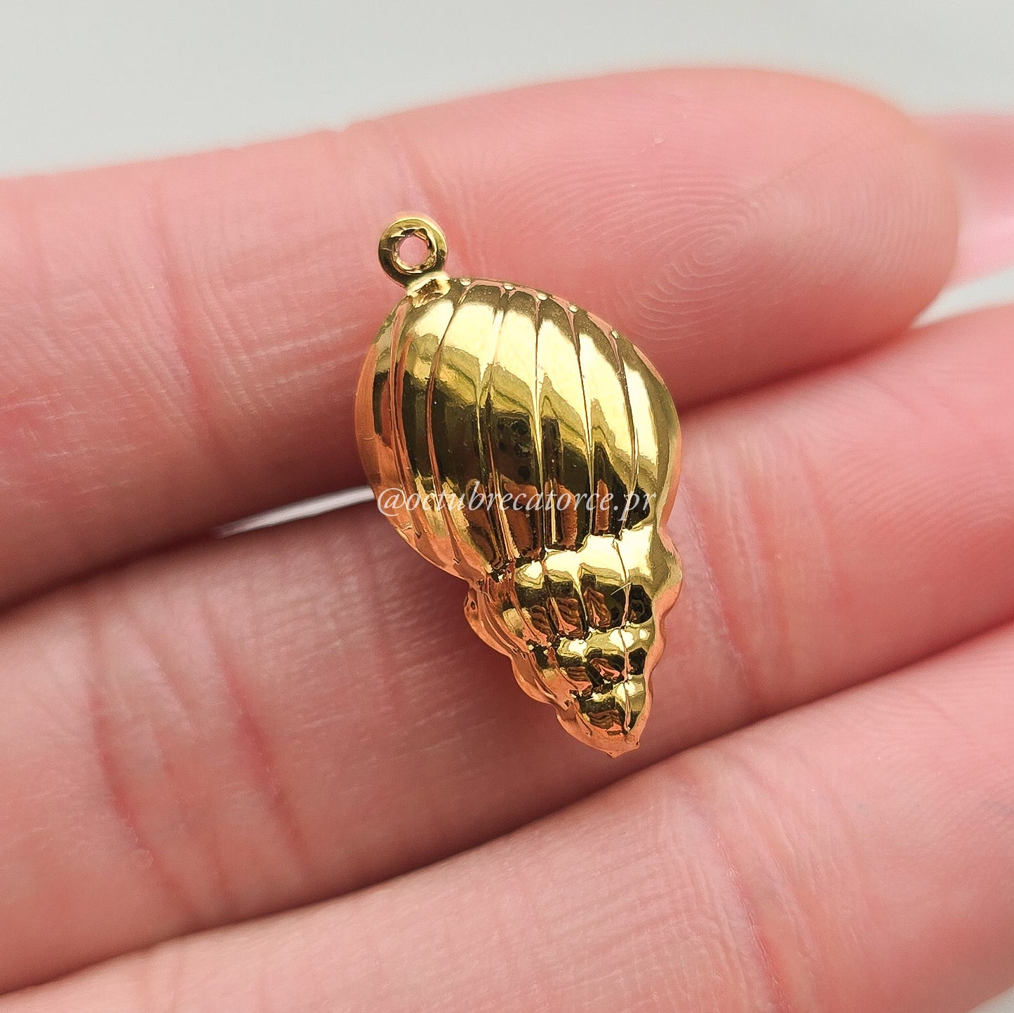 Caracol Charm