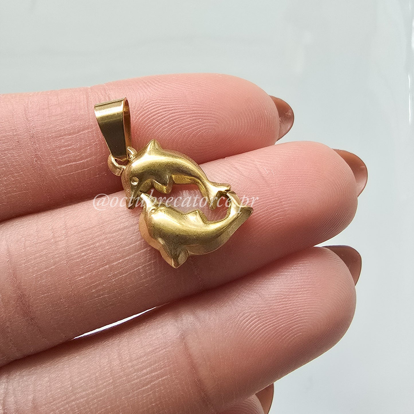 Delfines Charm