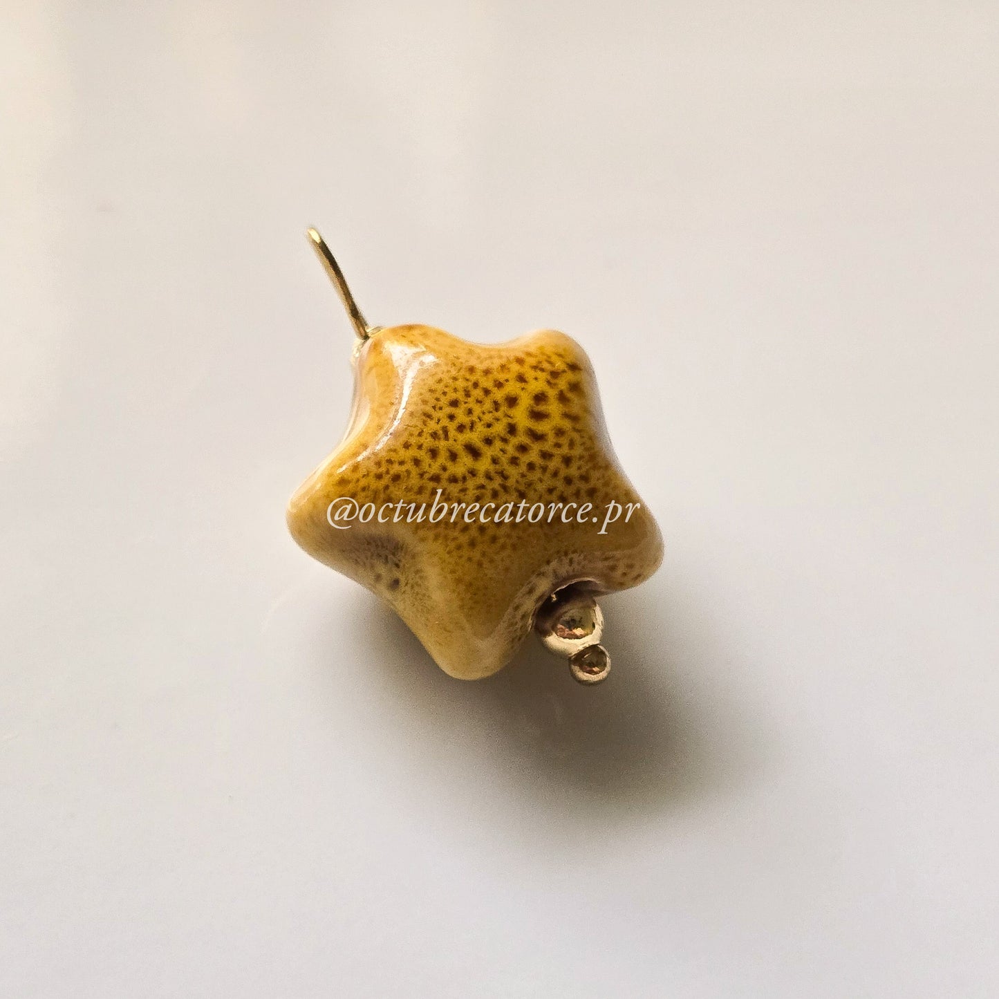Fugaz Charm