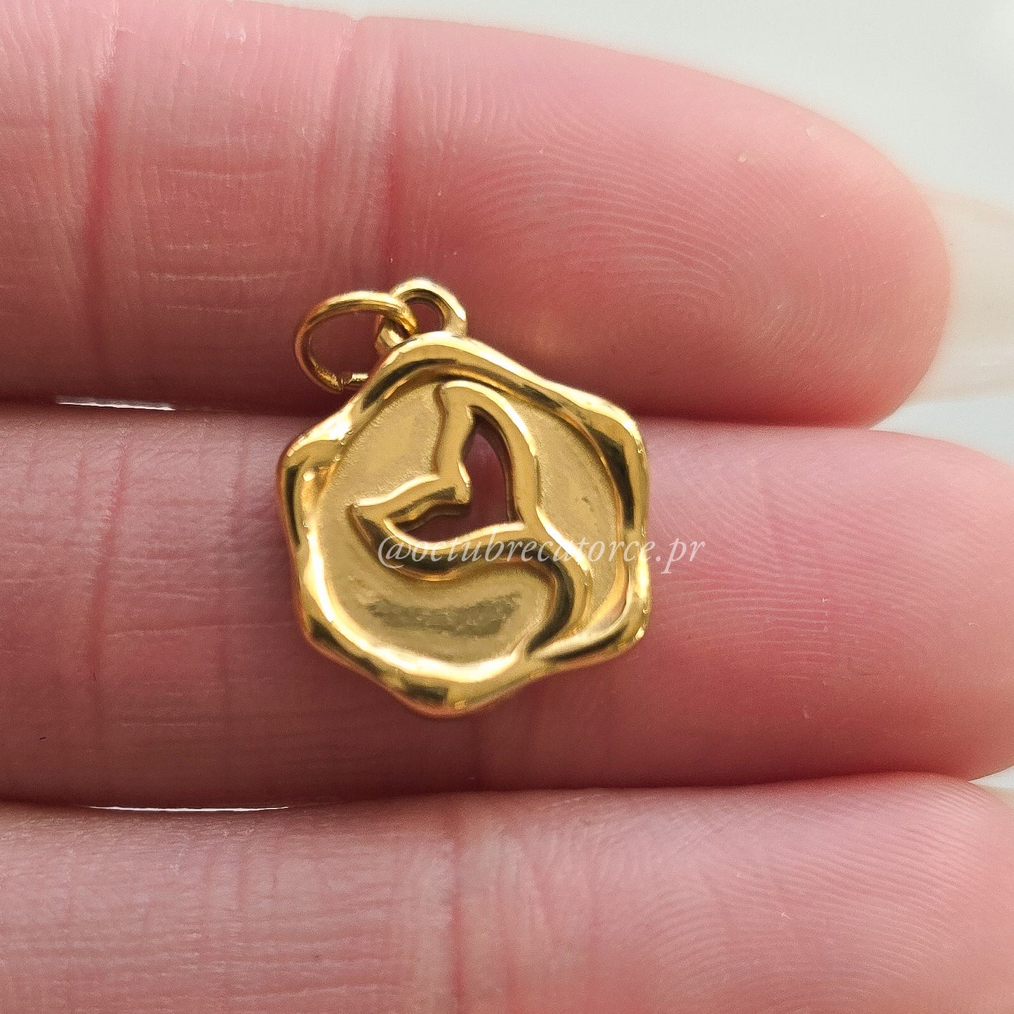 Colita de pez Charm