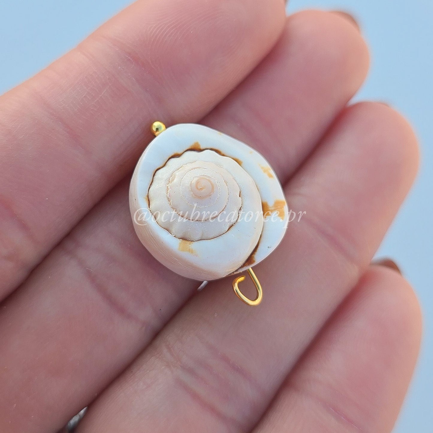 Shells Charm