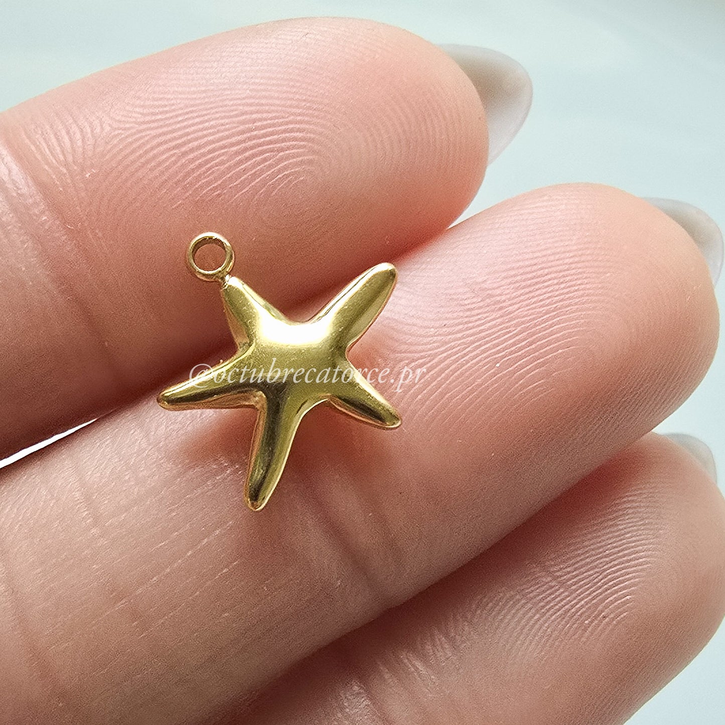 Estrellita Charm