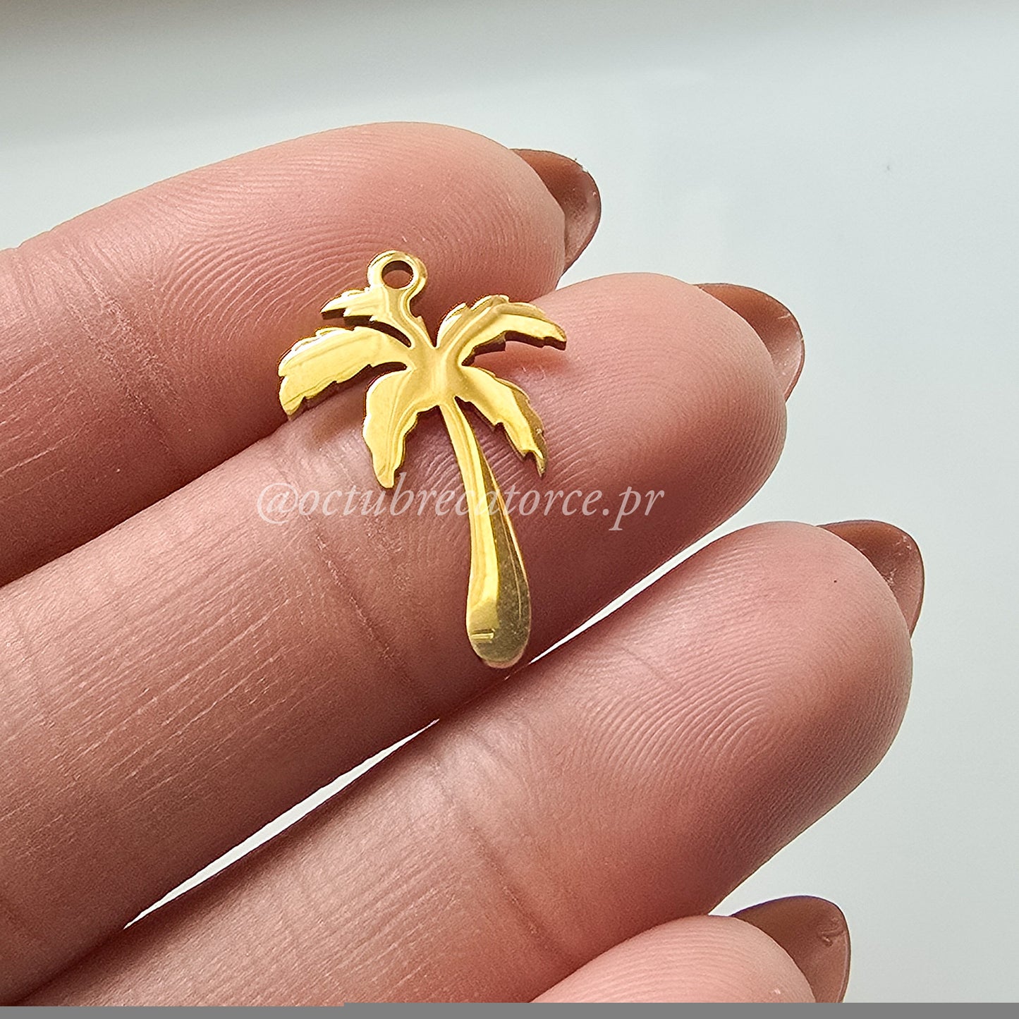 Palmera Charm