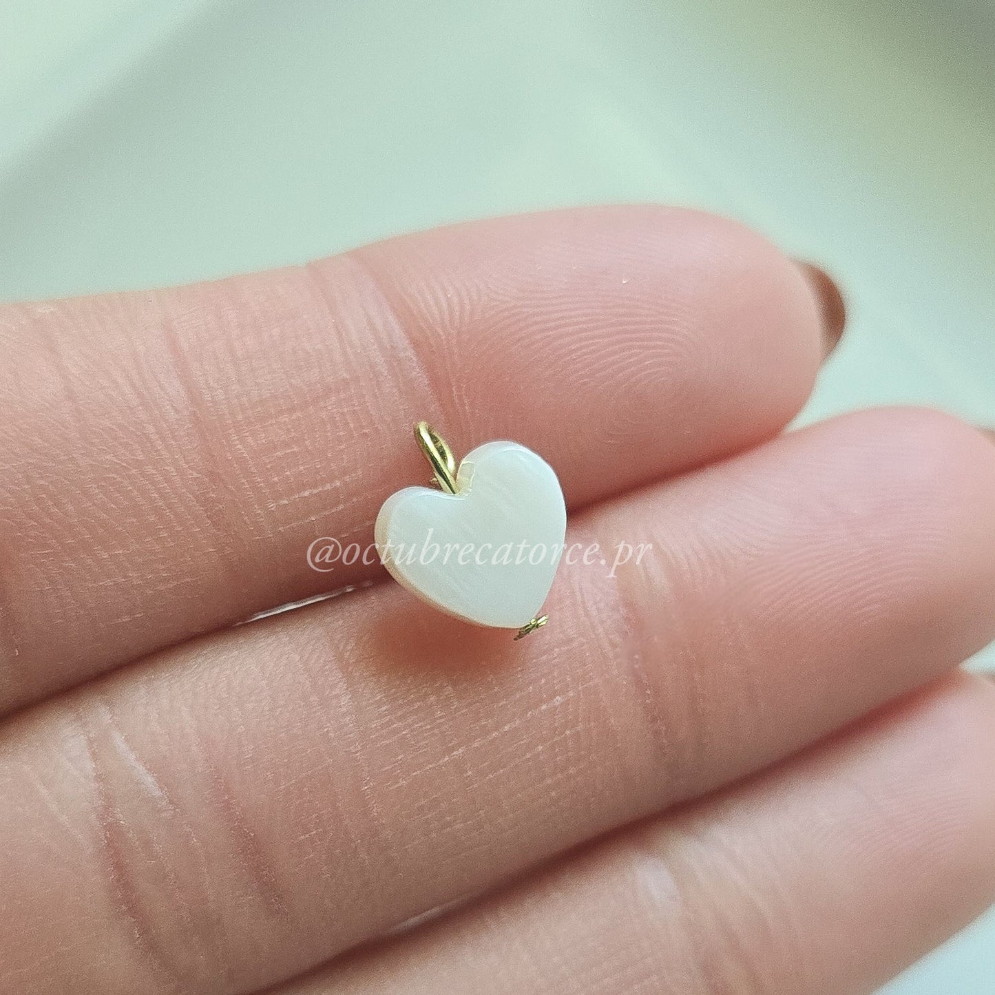 Corazón de caracol