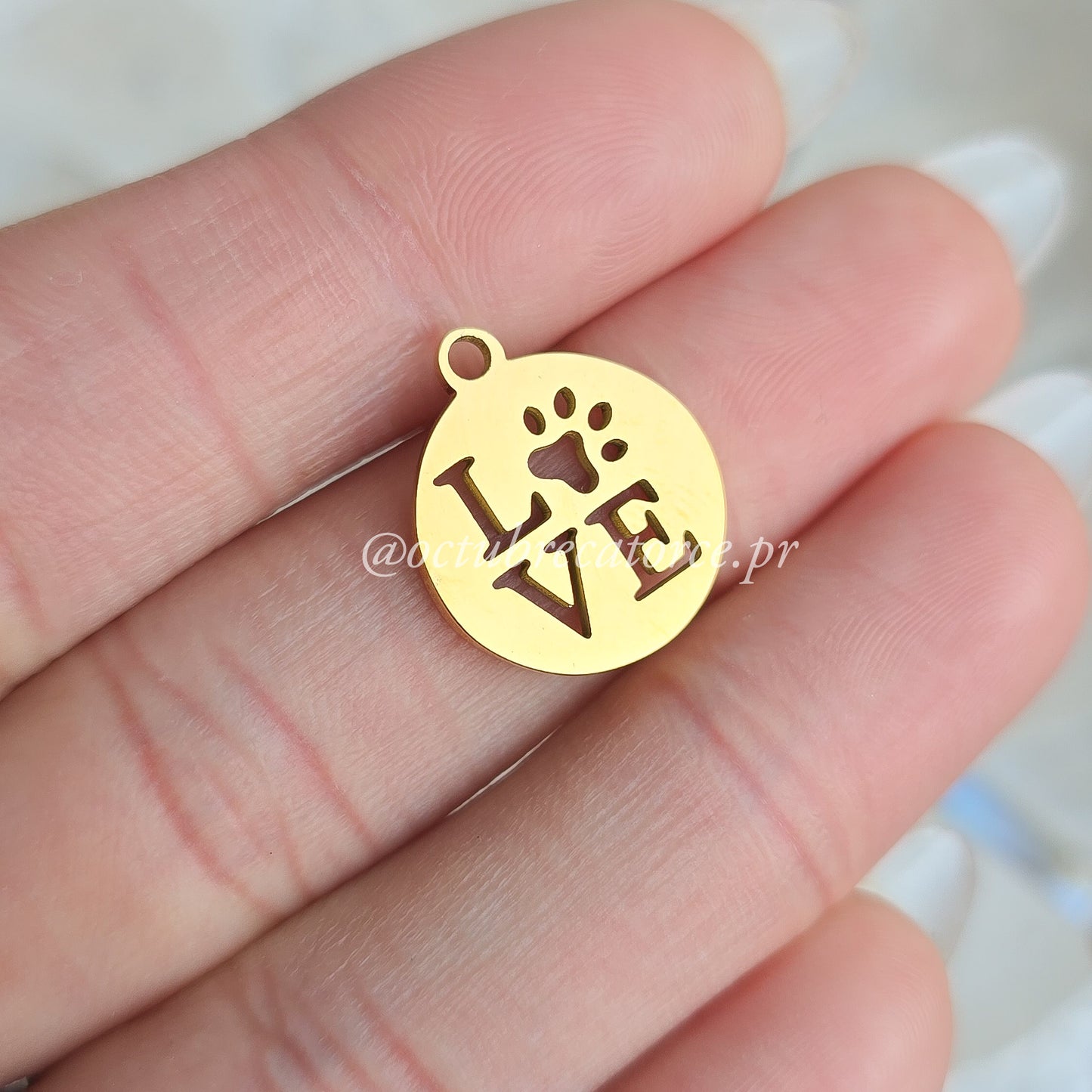 Love Paw Charm