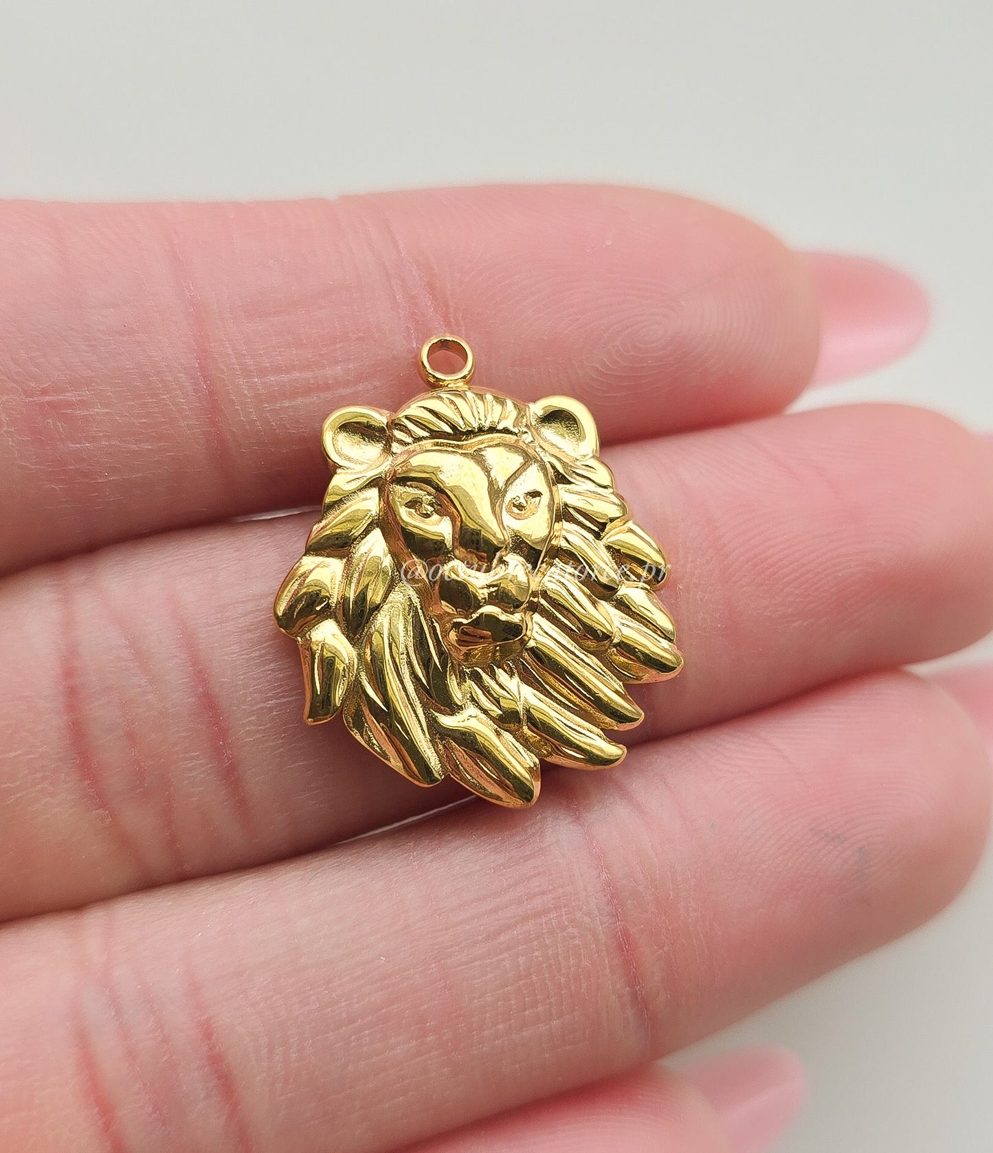 Leon de Judá Charm