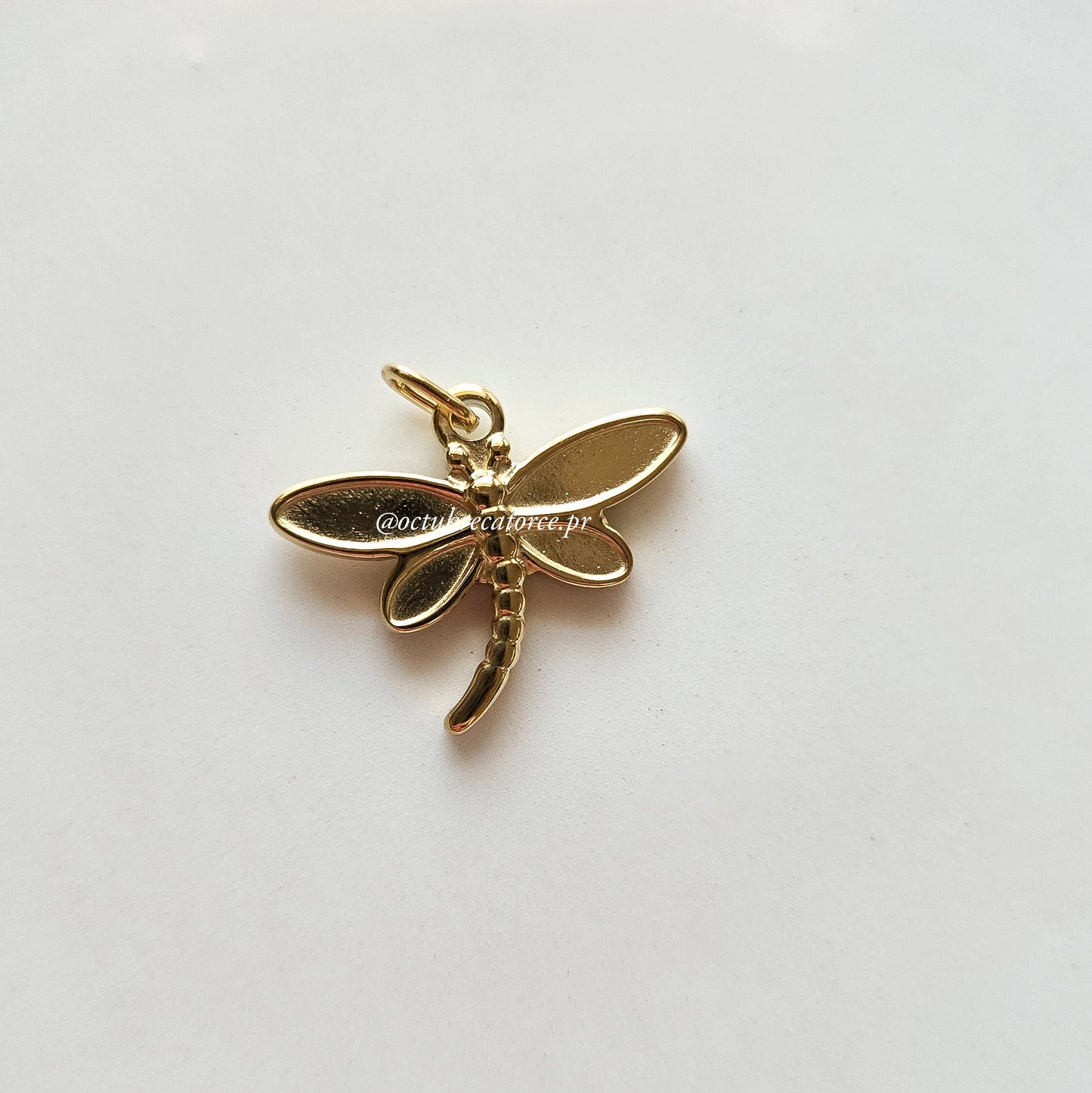Dragonfly Charm