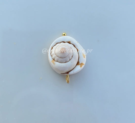 Shells Charm