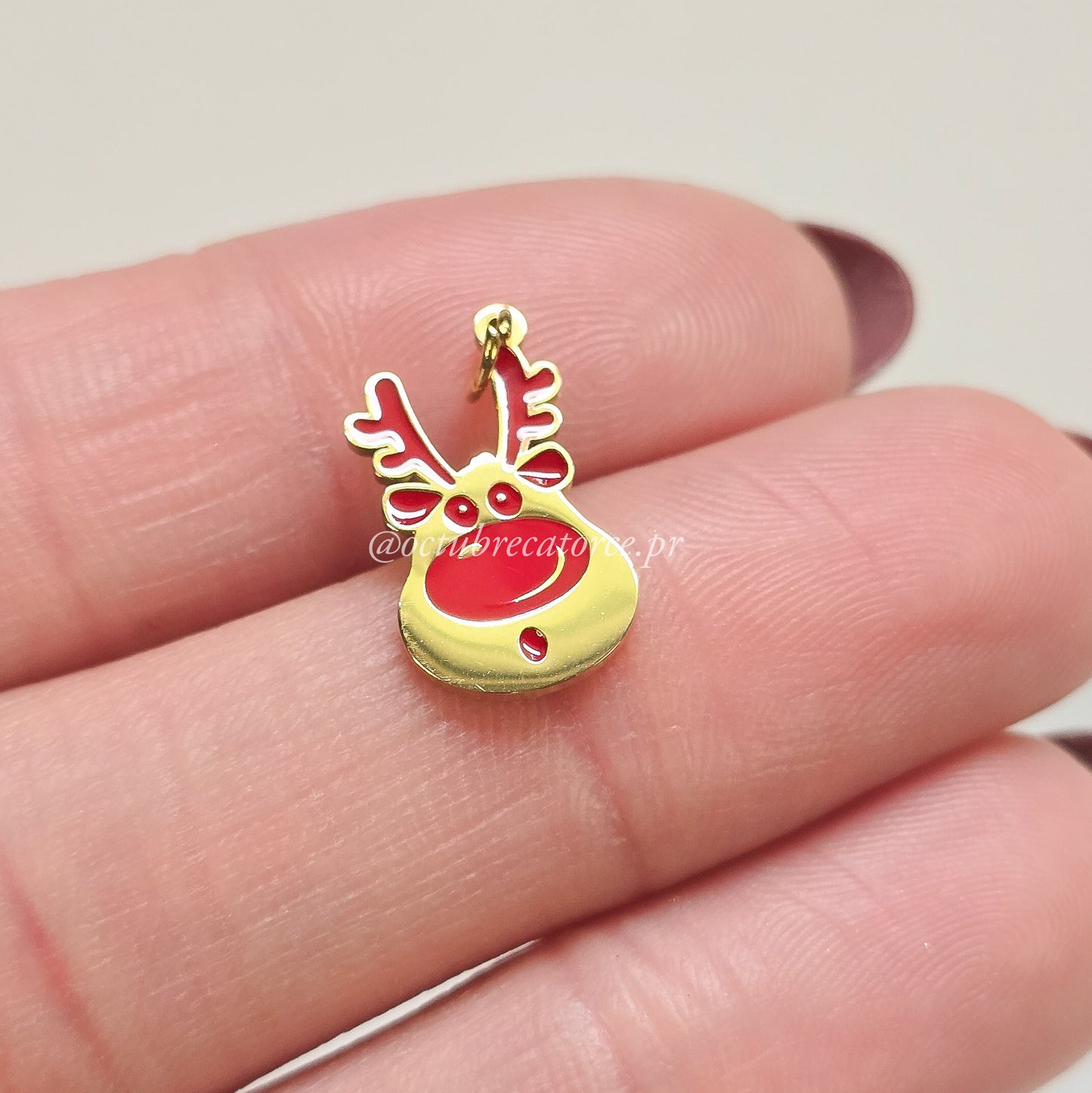 Rudolph Charm