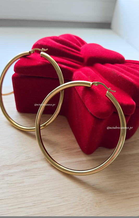 Golden Hoops Earrings