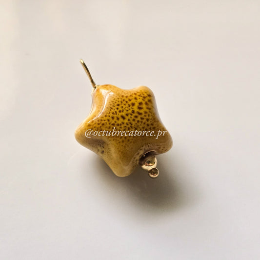 Fugaz Charm